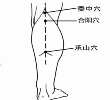 早报 | 人老先老腿！这套腿部保健操让你腿脚越来越利索(图2)