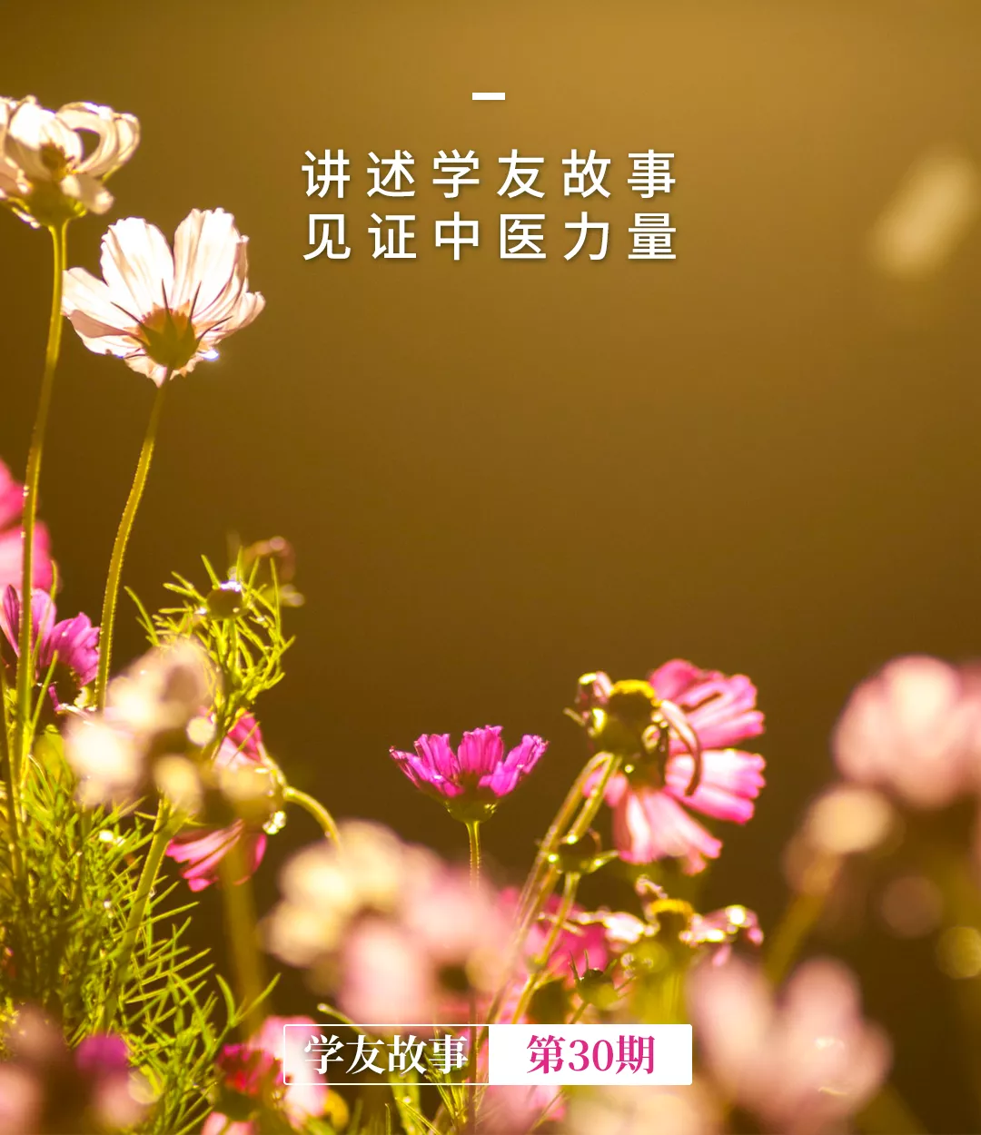 学友故事 | 干眼症，花了不到5块钱，对证了比滴眼药水还要好使。(图1)