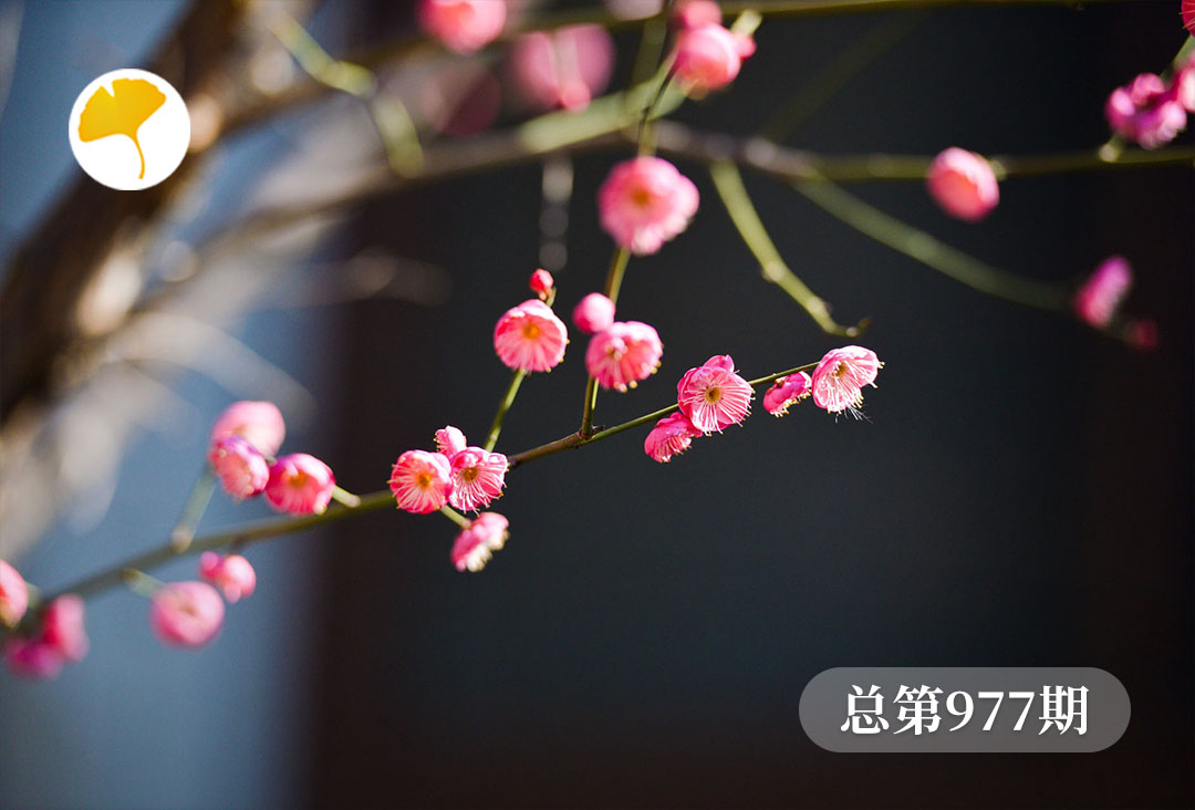 杏林早报 | “喝水都胖”和“狂吃不胖”，可能都是脾虚惹的祸！健脾是关键(图1)