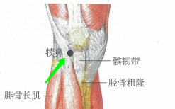 杏林早报 | 天凉膝盖痛？从这2个方向调理，逼走寒湿，远离“老寒腿”(图4)