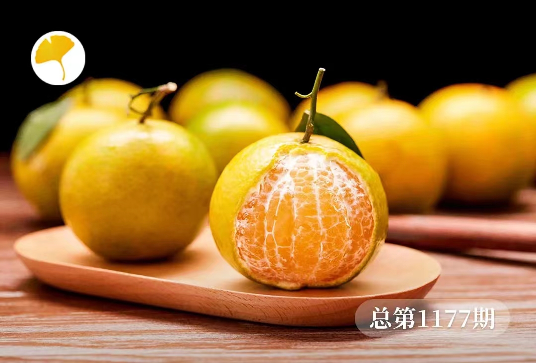 杏林早报 | 水果橘子等于5味药，理气化痰、健脾和胃，这样吃不上火(图1)