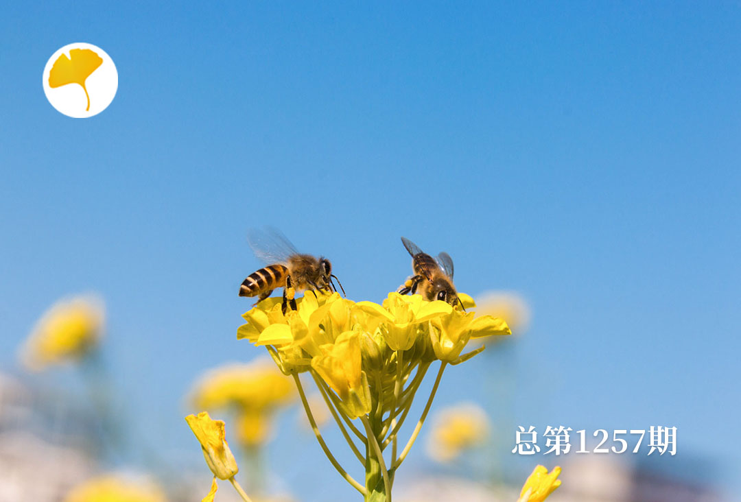 杏林早报 | “春捂秋冻，不生杂病”！捂住身体这3个寒气入口，疾病绕道走(图1)