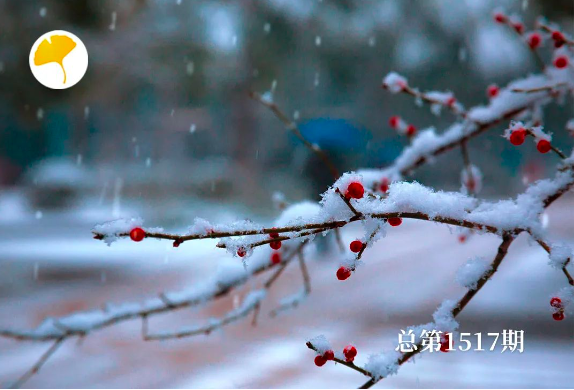 杏林早报 | 大雪时节如何养正气，御外邪？3个小妙招，一看就会！(图1)