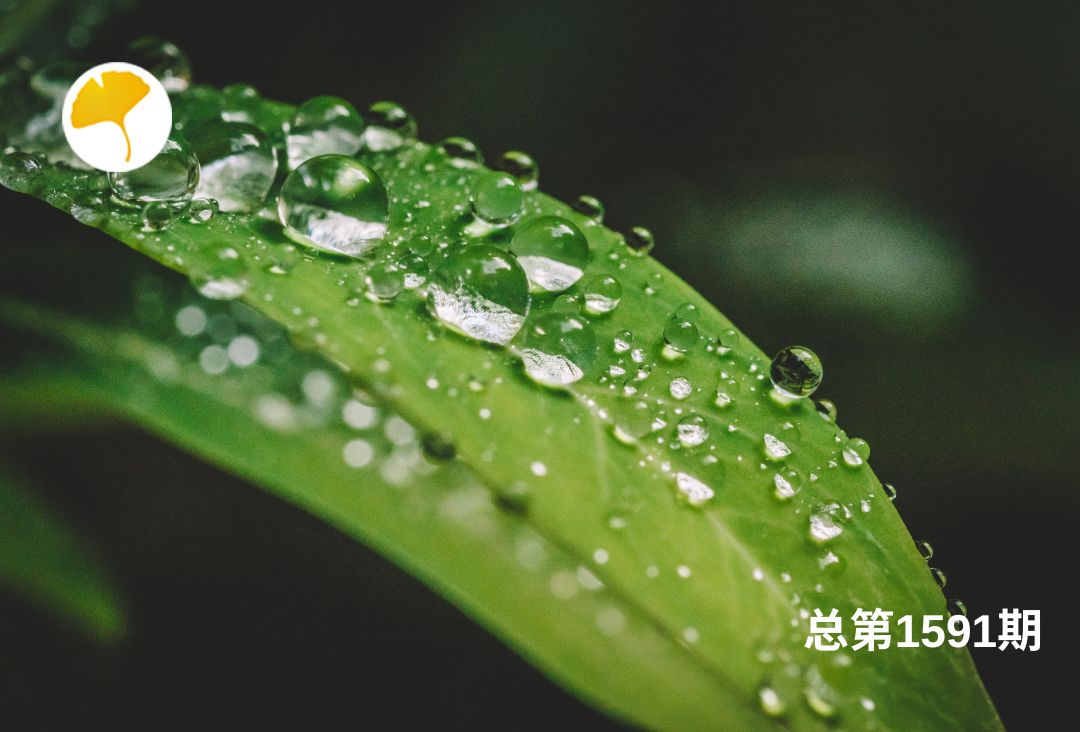 杏林早报 | 雨水节气养生启航——解读雨水的意义(图1)