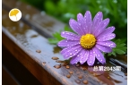 杏林早报 | 别再自己瞎诊断了！小肚子凉