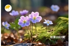 杏林早报 | 热敷后千万别做这件事！肩周