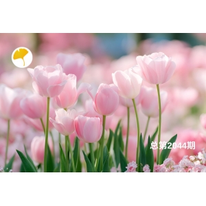 杏林早报 | 小满节气：从“养”心阳到“通”心阳，这杯茶不能