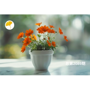 杏林早报 | 高血压=吃药降压？你可能忽略了这三大“隐形病根